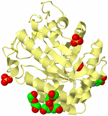 Image Biological Unit 4