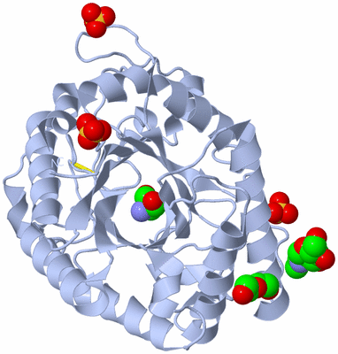 Image Biological Unit 1