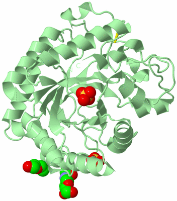 Image Biological Unit 2