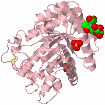 Image Biological Unit 3