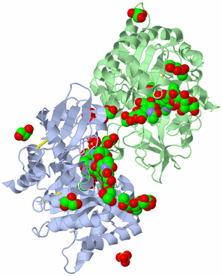 Image Asymmetric Unit