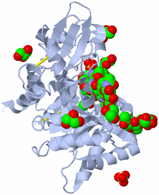Image Biological Unit 1