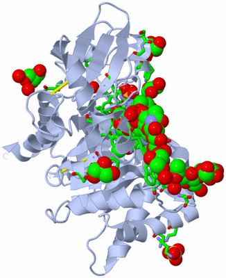 Image Biol. Unit 1 - sites