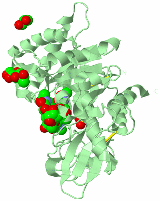 Image Biological Unit 2