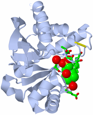 Image Biol. Unit 1 - sites