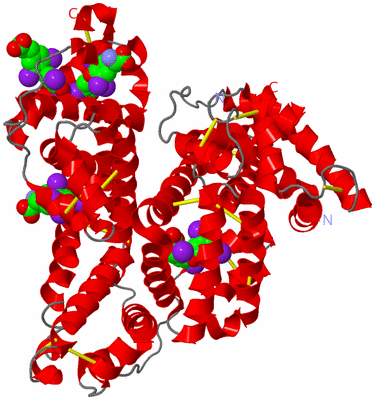 Image Asym./Biol. Unit