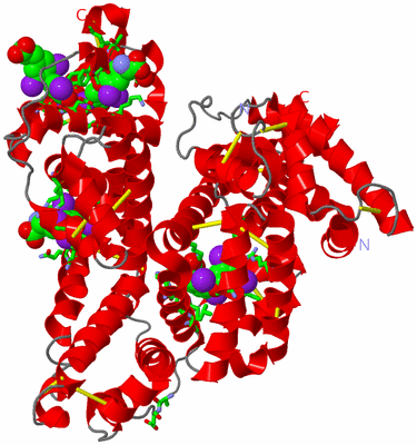 Image Asym./Biol. Unit - sites