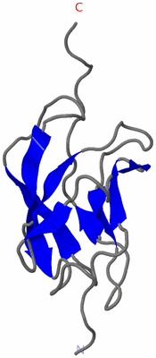 Image NMR Structure - model 1