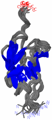 Image NMR Structure - all models