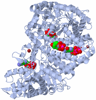 Image Biological Unit 1