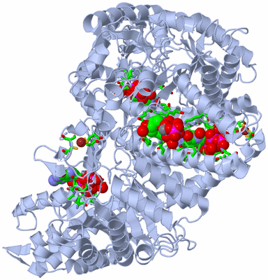 Image Biol. Unit 1 - sites