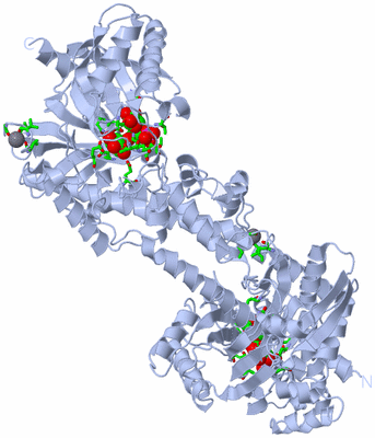 Image Biol. Unit 1 - sites