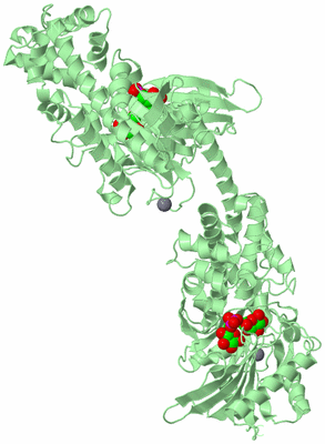 Image Biological Unit 2