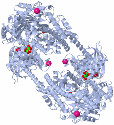 Image Biological Unit 1