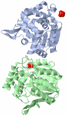 Image Asymmetric Unit