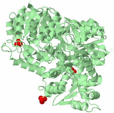 Image Biological Unit 2