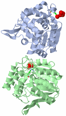 Image Asym. Unit - sites