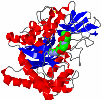 Image Asym./Biol. Unit