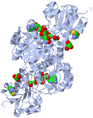 Image Biological Unit 1