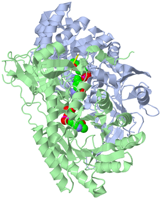 Image Asym./Biol. Unit