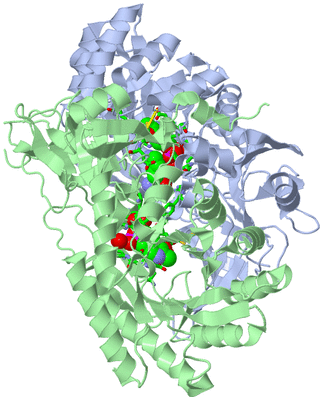 Image Asym./Biol. Unit - sites