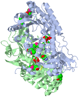Image Asym./Biol. Unit - sites