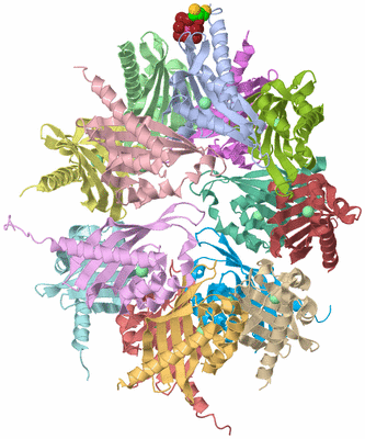 Image Asym./Biol. Unit