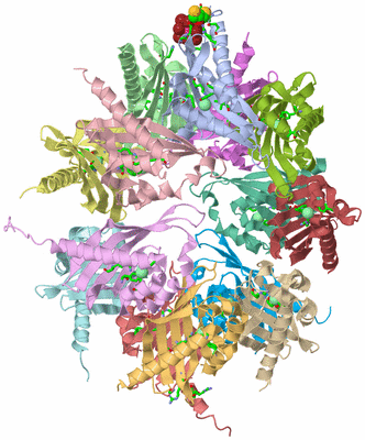 Image Asym./Biol. Unit - sites