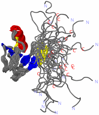Image NMR Structure - all models
