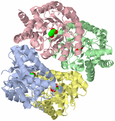 Image Asym./Biol. Unit