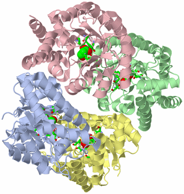 Image Asym./Biol. Unit - sites