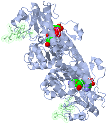 Image Biological Unit 1