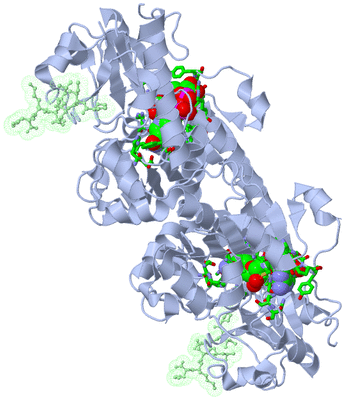 Image Biol. Unit 1 - sites