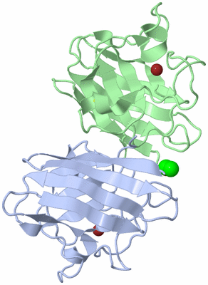 Image Biological Unit 1