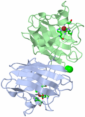 Image Biol. Unit 1 - sites