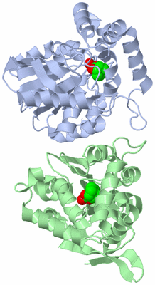 Image Asymmetric Unit