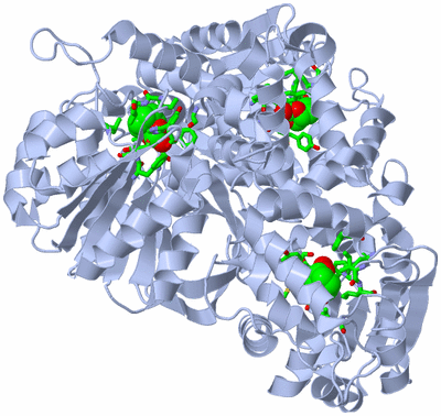 Image Biol. Unit 1 - sites