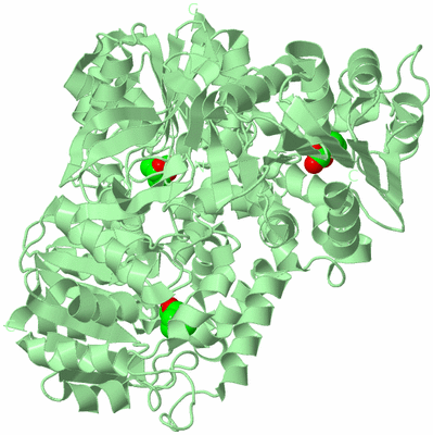 Image Biological Unit 2