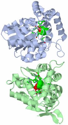 Image Asym. Unit - sites