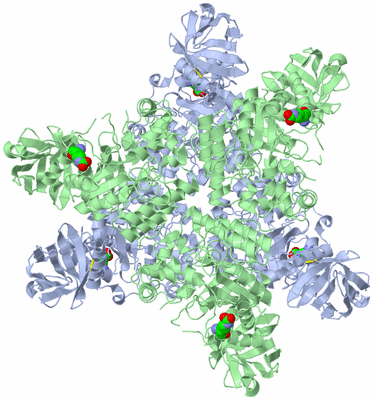 Image Biological Unit 1