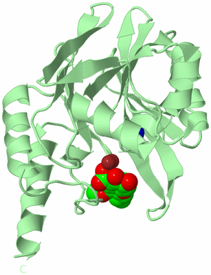 Image Biological Unit 2