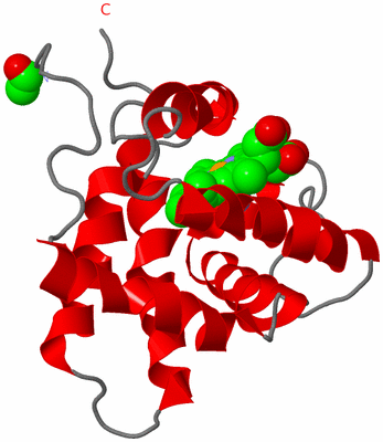 Image Asymmetric Unit