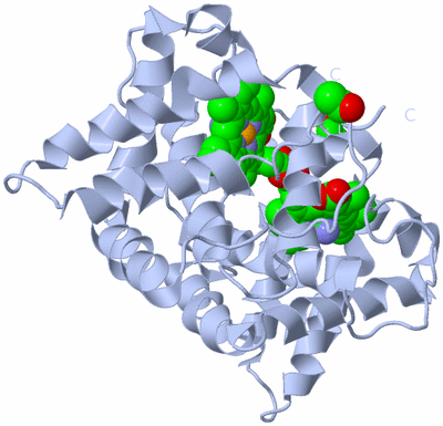 Image Biological Unit 1