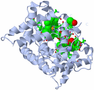 Image Biol. Unit 1 - sites
