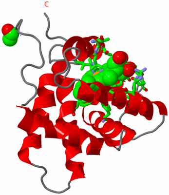Image Asym. Unit - sites