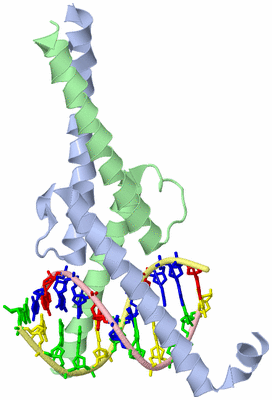 Image Asym./Biol. Unit