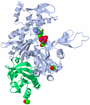 Image Asym./Biol. Unit