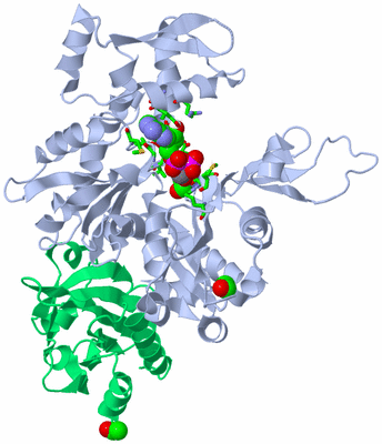 Image Asym./Biol. Unit - sites