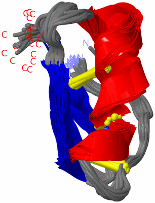 Image NMR Structure - all models