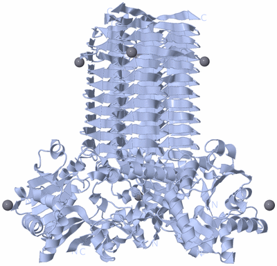 Image Biological Unit 1